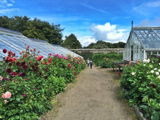 Clovelly Court Gardens